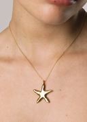 COLLAR ASTERINA | https://www