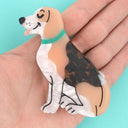 PINZA BEAGLE | https://www