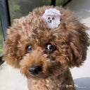 MINI  PINZA BICHON / COUCOU SUZETTE | https://www