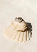 SELLO PEZ  PLATA  / ALHAJA | https://www