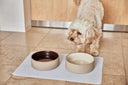 BOWL MASCOTAS 'SIA' M / OYOY | https://www