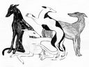 "LOS GALGOS" PRINT / ANA CLERICI | https://www
