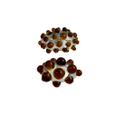CORAL  AMBAR  ANILLO / BOIRA | https://www