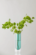 JARRÓN TUBO M CYAN /STUDIO ABOUT | https://www