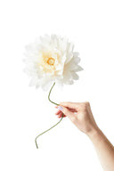 FLOR DE PAPEL (DALIA GRANDE ARENA) / STUDIO ABOUT | https://www