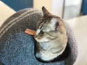CAMA PARA GATOS 'PETRA' / MISHUM | https://www