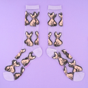 CALCETINES TRANSPARENTES CHIHUAHUA | https://www