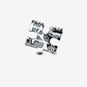 PINZA PUZZLE SHADOW INK / SASSTIE