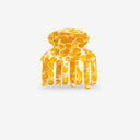PINZA TRUE HONEY  / SASSTIE