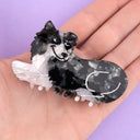 PINZA BORDER COLLIE / COUCOU SUZETTE | https://www