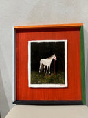 "BLACK HORSE" OBRA SOBRE CERÁMICA / KOKO CHE JOTA | https://www