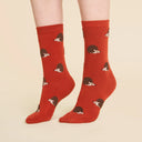 CALCETINES ERIZO / COUCOU SUZZETE