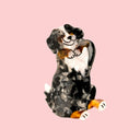 PINZA BERNESSE / COUCOU SUZZETE | https://www
