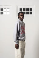 SUDADERA GRIS BASEBALL / GOODIES SPORTIVE