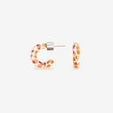 PENDIENTES CHARME NUTS   / SASSTIE