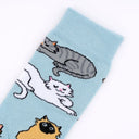 CALCETINES GATOS / COUCOU SUZZETE