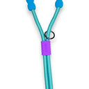 CORREA PERRO BONBON AZUL / BUNICO