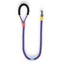 CORREA PERRO BONBON MORADA / BUNICO