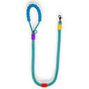 CORREA PERRO BONBON AZUL / BUNICO