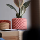 MACETA BURBU CLAY / MENDELEK STUDIO