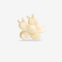 PINZA MINI BLOOMIE MACADAMIA / SASSTIE