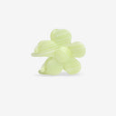 PINZA MINI BLOOMIE PISTACHO / SASSTIE
