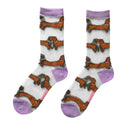 CALCETINES TRANSPARENTES TECKEL / COUCOU SUZETTE