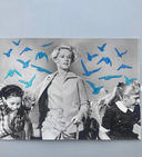 BORDADO LOS PAJAROS DE HITCHCOCK / ALE RIERA