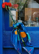 PAÑUELO VERBENA / AVSHION