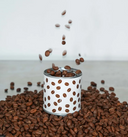 VELA CAFE  / TO: FROM