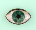 PINZA OJO VERDE / COUCOU SUZETTE
