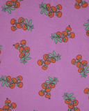 CAMISETA AJUSTADA CON ESTAMPADO TOMATOES / BOBO CHOSES