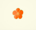 PIN CAPUCHINA / COUCOU SUZETTE