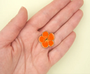 PIN CAPUCHINA / COUCOU SUZETTE