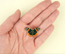 PIN MARIPOSA NEGRA / COUCOU SUZETTE