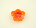 MINI PINZA CAPUCHINA / COUCOU SUZETTE