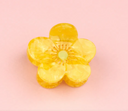 MINI PINZA FLOR BOTÓN DE ORO / COUCOU SUZETTE