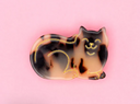 CLIP GATO CAREY  / COUCOU SUSETTE