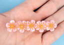 CLIP SAKURA / COUCOU SUZETTE