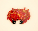ESPEJO CANGREJO / COUCOU SUZETTE