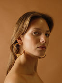 AROS DE AVELLANA / SUSMIES