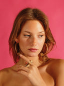 AROS DE AVELLANA / SUSMIES