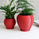 MACETA ORBELLE LUNE CHERRY / MENDELEK STUDIO
