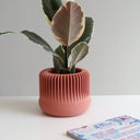 MACETA MARENA BLUSH CLAY M / MENDELEK STUDIO