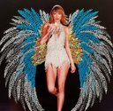 BORDADO TAYLOR SWIFT / ALE RIERA