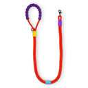 CORREA PERRO BONBON NARANJA / BUNICO