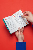 PLANIFICADOR DIARIO / MISHMASH