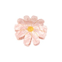 PINZA COSMOS ROSA / COUCOU SUZETTE