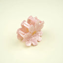 PINZA COSMOS ROSA / COUCOU SUZETTE
