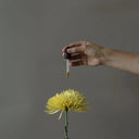 SERUM FACIAL JOJOBA Y GERANIO / TRESSOLES